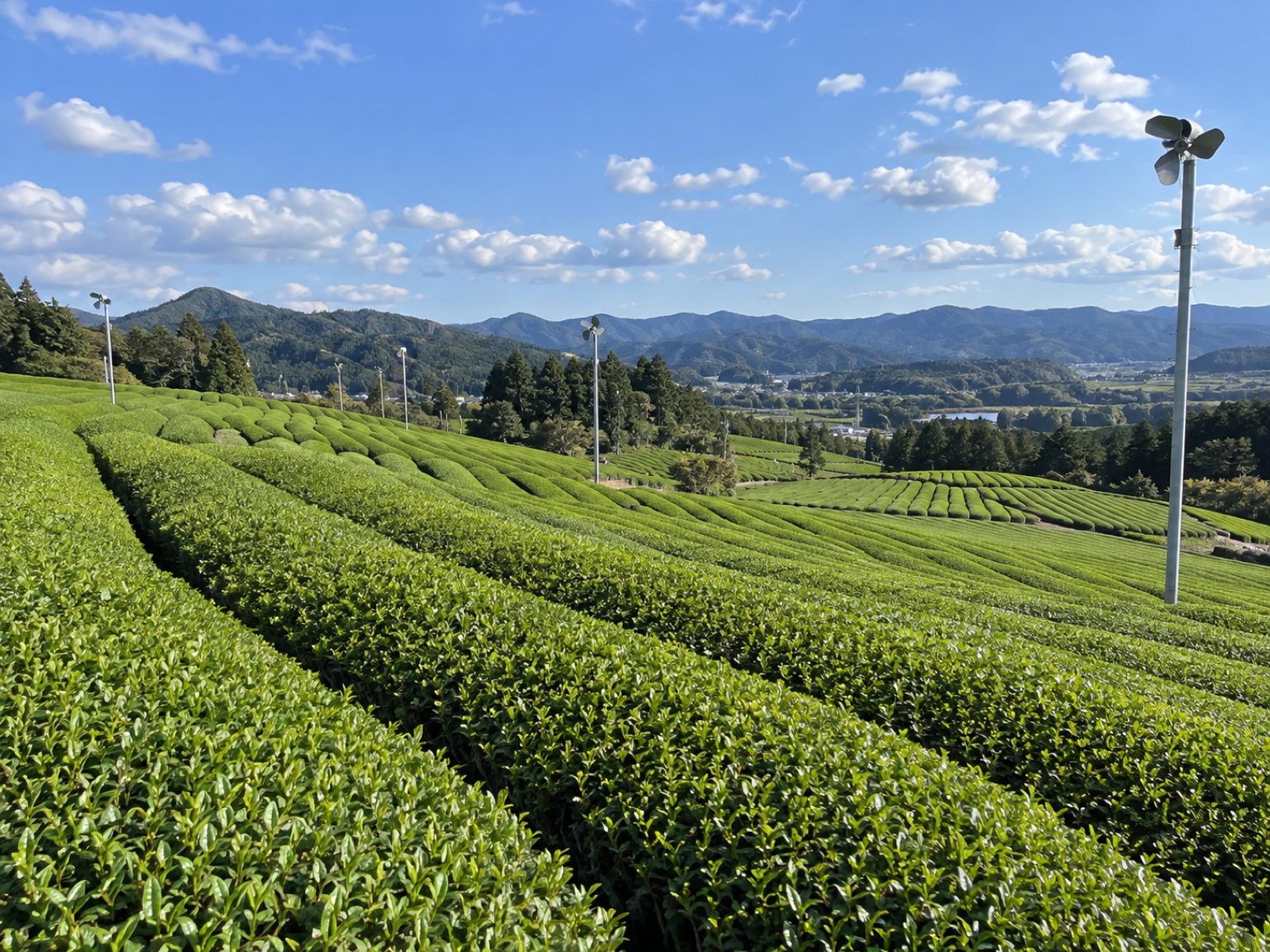 写真:生産者と話す
